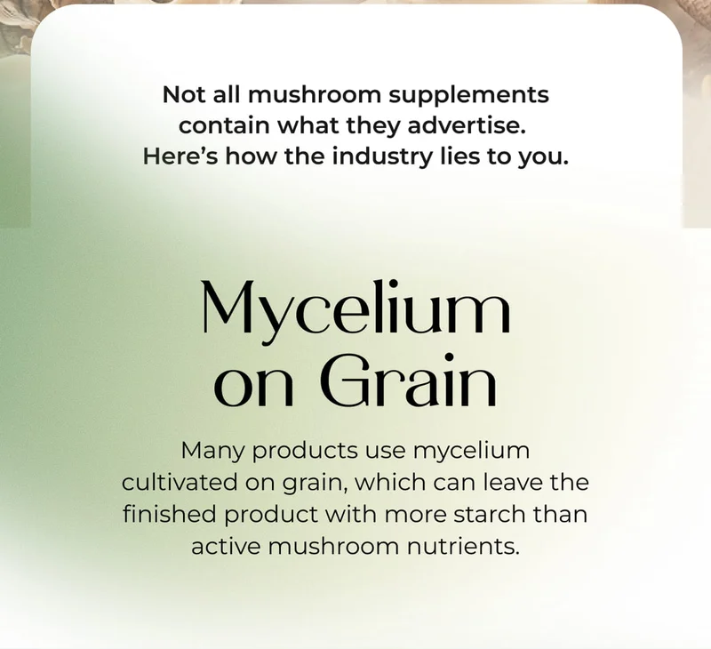 Mycelium on Grain