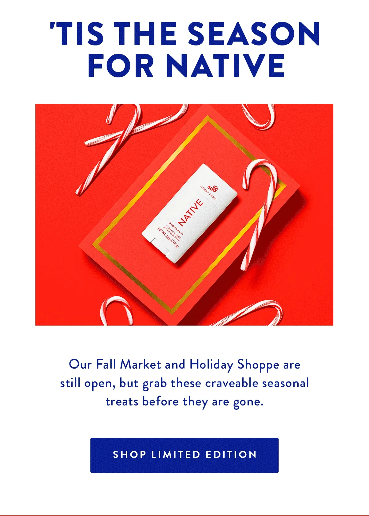 'TIS THE SEASON FOR NATIVE | Our Fall Market and Holiday Shoppe are still open, but grab these craveable seasonal treats before they are gone. | SHOP LIMITED EDITION