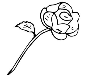 A line drawing of a rose.