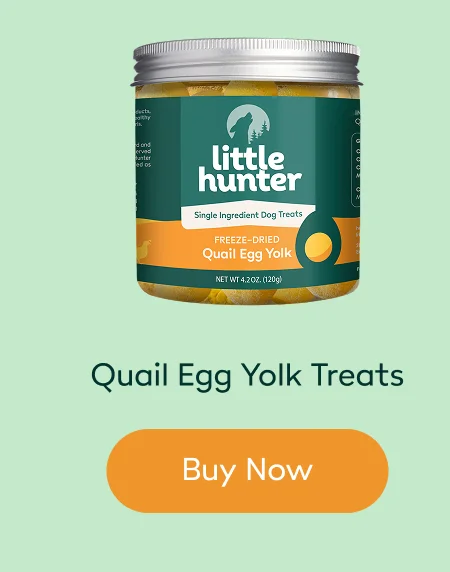 Quail Egg Yolks  Treats