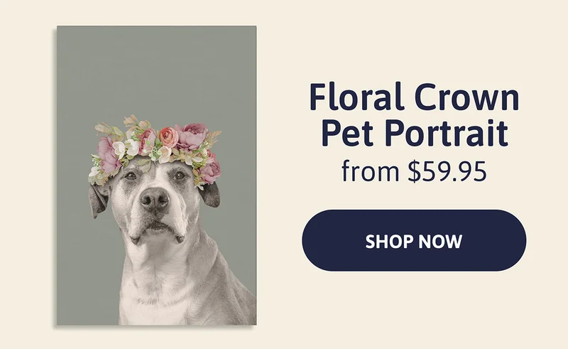 Floral Crown Pet Portrait. From $59.95. [SHOP NOW]