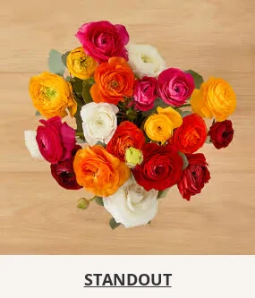 Flowers At a Great Price