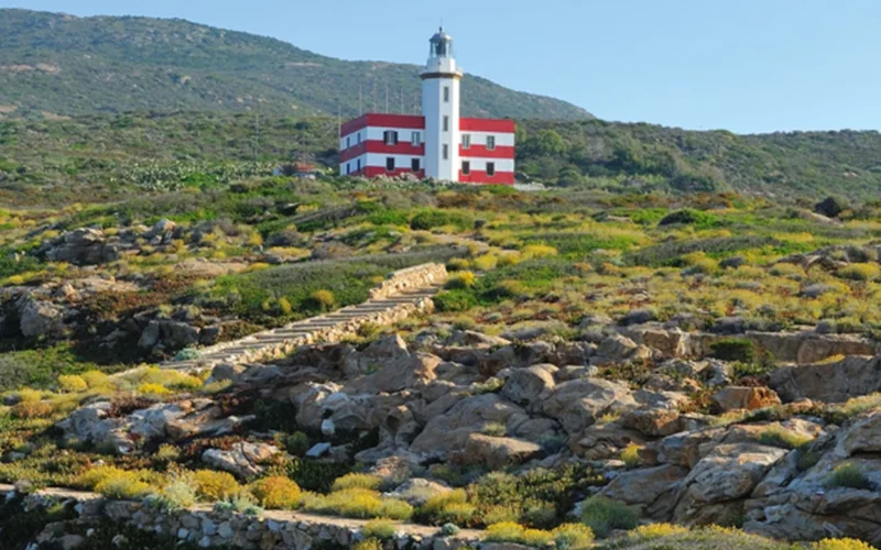 A lighthouse at the top of a bushy hill with a sloping pathway leading up to it.