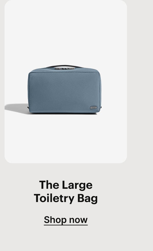 The Large Toiletry Bag