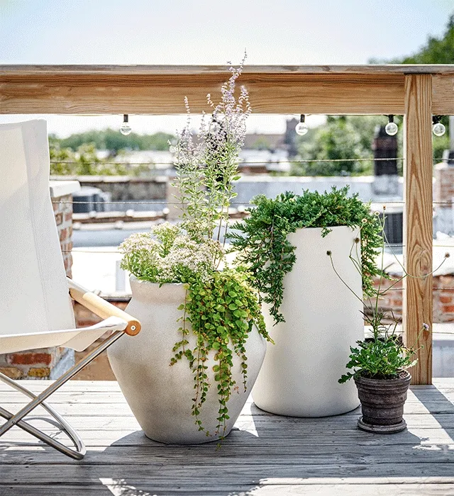 all the planters, please