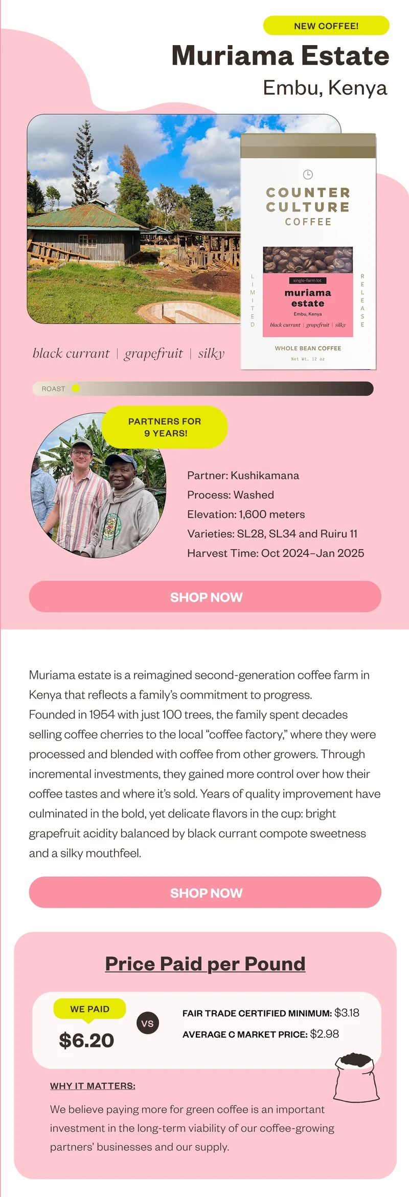 New coffee Muriama Estate black  currant grapefruit silky Parnters for 9 yearsProcess: Washed Elevation: 1600m Varieties: SL28, SL34 and Ruiru11 Harvest Time: October 2024–January 2025 Shop NowThumbnail Muriama estate is a reimagined second-generation coffee farm in Kenya that reflects a family’s commitment to progress. Founded in 1954 with just 100 trees, the family spent decades selling coffee cherries to the local “coffee factory,” where they were processed and blended with coffee from other growers. Through incremental investments, they gained more control over how their coffee tastes and where it’s sold. Years of quality improvement have culminated in the bold, yet delicate flavors in the cup: bright grapefruit acidity balanced by black currant compote sweetness and a silky mouthfeel.  Shop Now Price paid per pound We paid $6.20 vs Fair traide certified minimum $3.18 average c market price $2.98 Why it matters: We believe paying more for green coffee is an important investment in the long-term viability of our coffee-growing partners' businesses and our supply