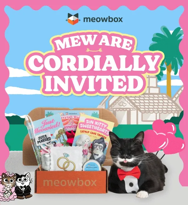 Mew are cordially invited. Black and white cat wearing a tuxedo sitting next to the Furrytail Wedding meowbox (featuring toys like the Just Meowied Wand, Purrty in Polyester Enrichment Mat, Sin Kitty Sweethearts Catnip Cake Toppers and more) in front of a wedding background