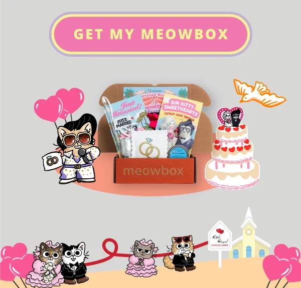 Get my meowbox