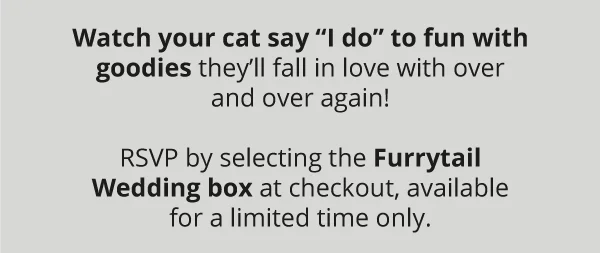 Watch your cat say “I do” to fun with goodies they’ll fall in love with over and over again!  RSVP by selecting the Furrytail Wedding box at checkout, available for a limited time only.