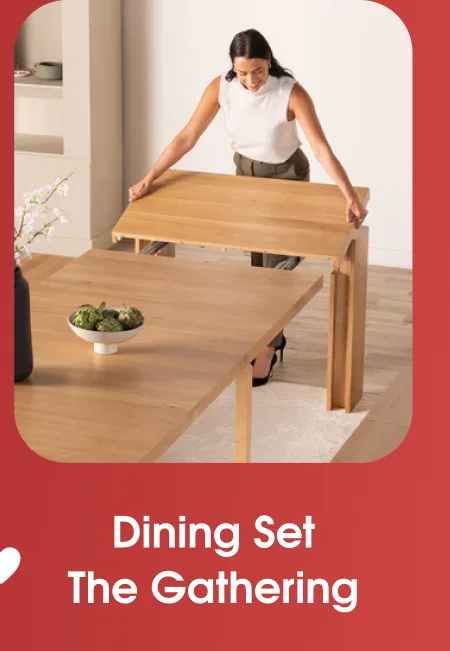 Dining Set - The Gathering
