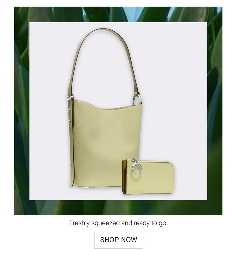 SHOP NOW
