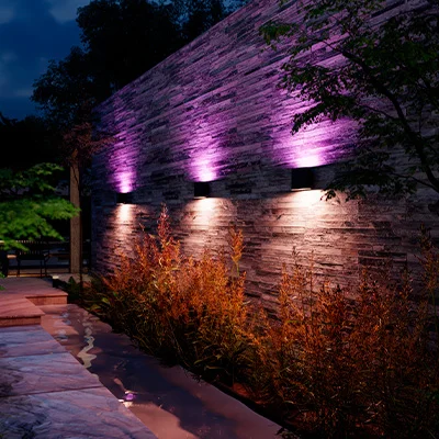 Dymera wall light