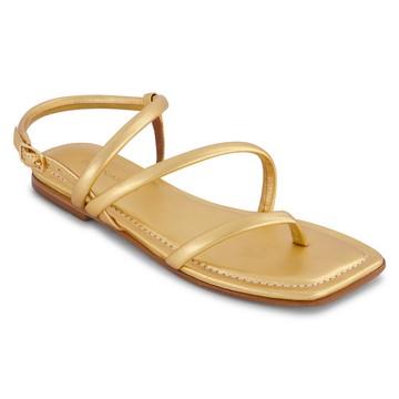 Bernardo Flat Sandal - Odessa