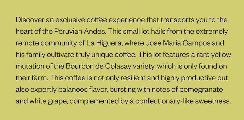 Discover an exclusive coffee experience that transports you to the heart of the Peruvian Andes. This small lot hails from the extremely remote community of La Higuera, where Jose Maria Campos and his family cultivate truly a unique coffee. This lot features a rare yellow mutation of the Bourbon de Colasay variety, which is only found on their farm. This coffee is n ot only resilient and highly productive but also expertly balances flavor, bursting with notes of pomegranate and white grape, complemented by a confectionary-like sweetness.