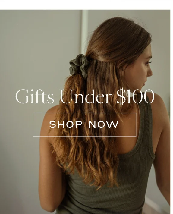 Shop Gifts Under $100