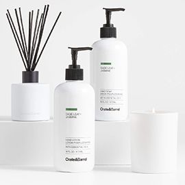 Sage Leaf + Jasmine Hand Soap and Lotion Collection
