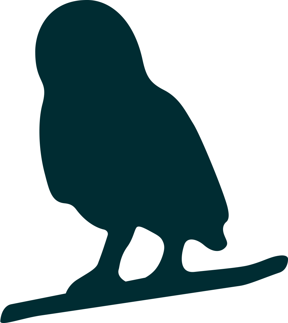 Free shipping, always.