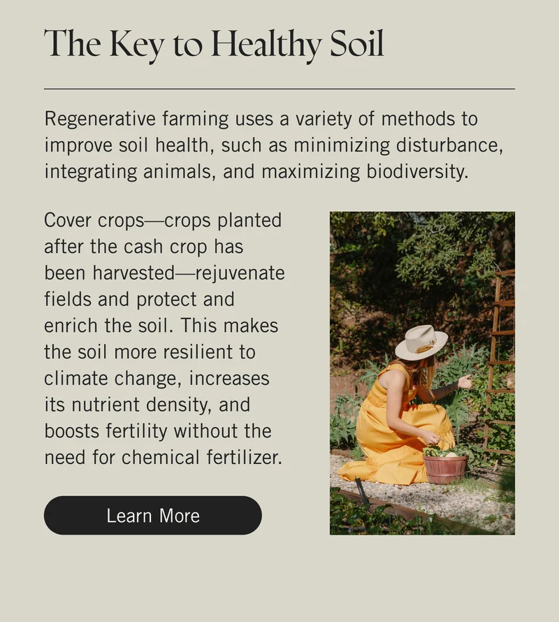 The Key to Healthy Soil. Regenerative farming uses a variety of methods to improve soil health, such as minimizing disturbance, integrating animals, and maximizing biodiversity. Cover crops—crops planted after the cash crop has been harvested—rejuvenate fields and protect and enrich the soil. This makes the soil more resilient to climate change, increases its nutrient density, and boosts fertility without the need for chemical fertilizer. Learn More.