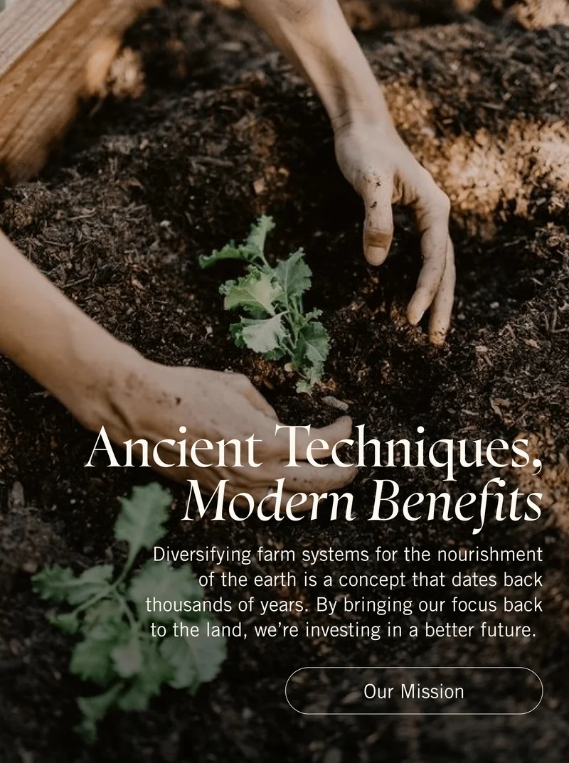 Ancient Techniques, Modern Benefits.Diversifying farm systems for the nourishment of the earth is a concept that dates back thousands of years. By bringing our focus back to the land, we’re investing in a better future. Our Mission.