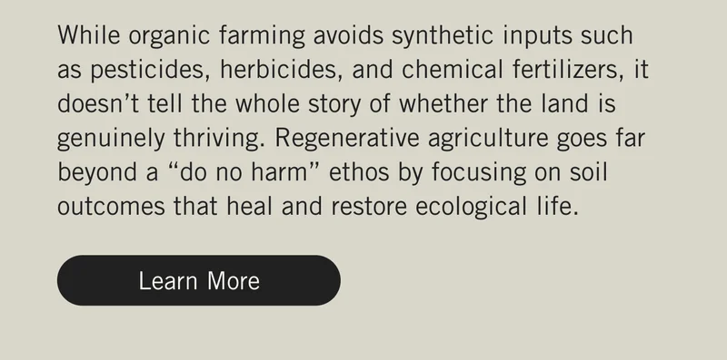 While organic farming avoids synthetic inputs such as pesticides, herbicides, and chemical fertilizers, it doesn’t tell the whole story of whether the land is genuinely thriving. Regenerative agriculture goes far beyond a “do no harm” ethos by focusing on soil outcomes that heal and restore ecological life. Learn More.