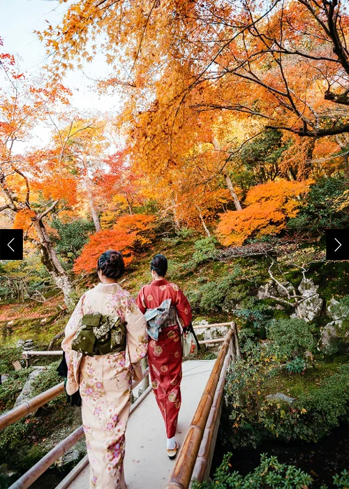 Ginkaku-ji’s temple gardens are one of the best places in Kyoto for this seasonal glory, and locals like to take strolls under the clouds of copper and golden leaves wearing autumnal-design kimonos.