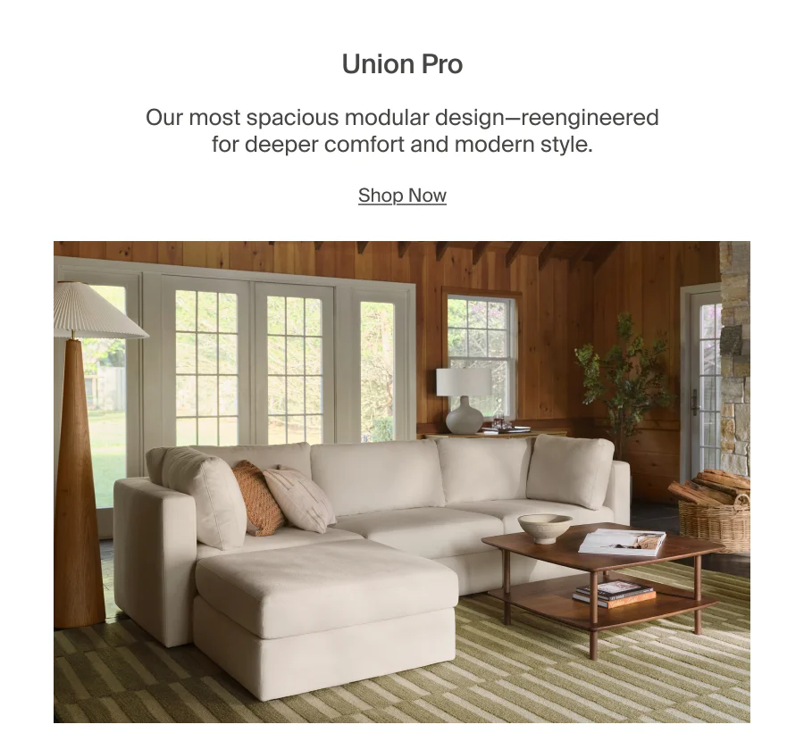 Union Pro