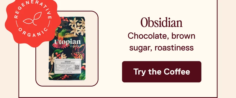 Obsidian