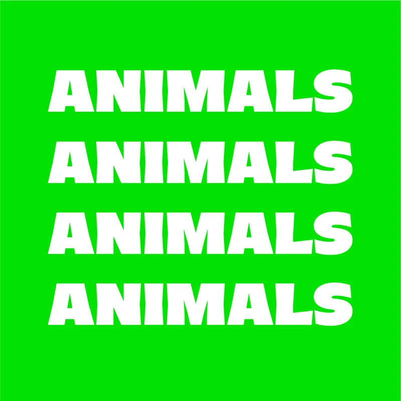Animal socks