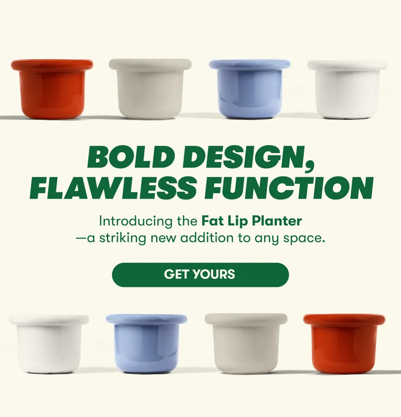 BOLD DESIGN, FLAWLESS FUNCTION  BOLD DESIGN, FLAWLESS FUNCTION  [GET YOURS]