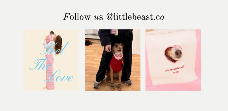 Follow us on Instagram