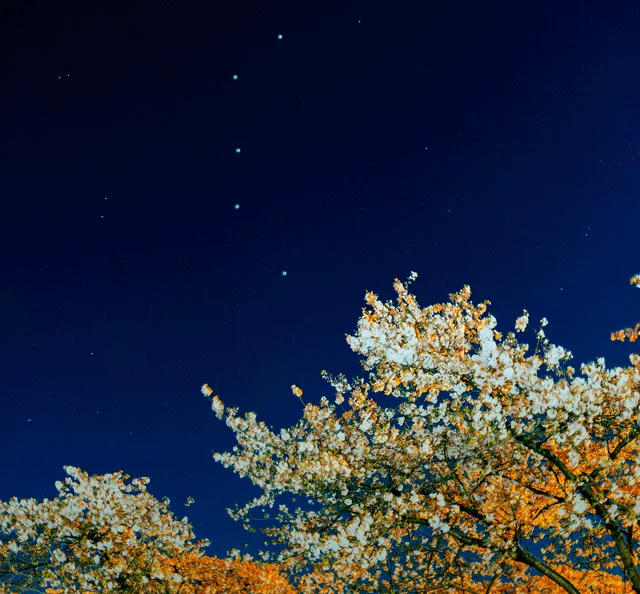 The Big Dipper in the night sky