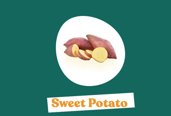 Sweet Potato