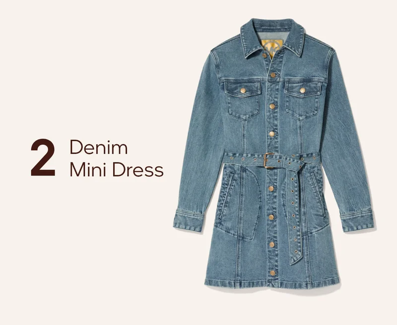 2 Denim Mini Dress