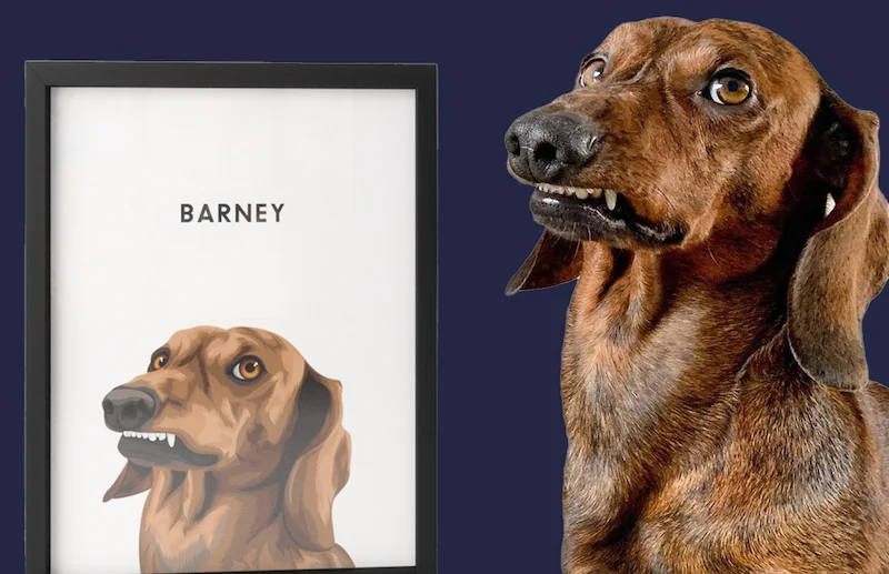 Modern pet portrait customer photo