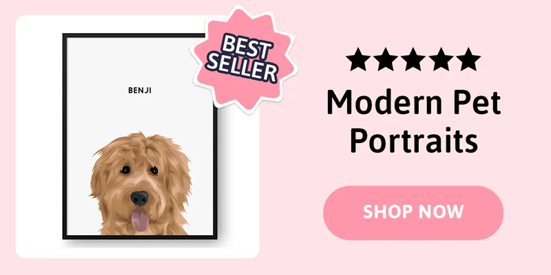 BEST SELLER: Modern pet portraits