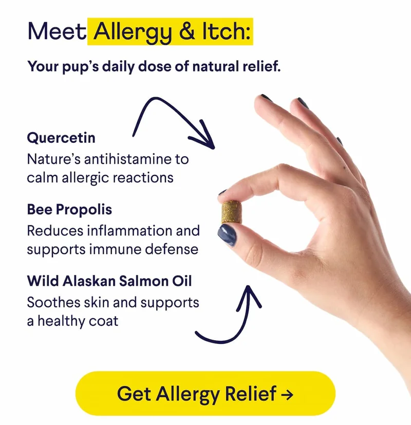 Meet Allergy & Itch: Your pup’s daily dose of natural relief. Quercetin - Nature’s antihistamine to calm allergic reactions. Bee propolis - Reduces inflammation and supports immune defense. Wild-caught salmon oil - Soothes skin and supports a healthy coat. Get allergy relief.