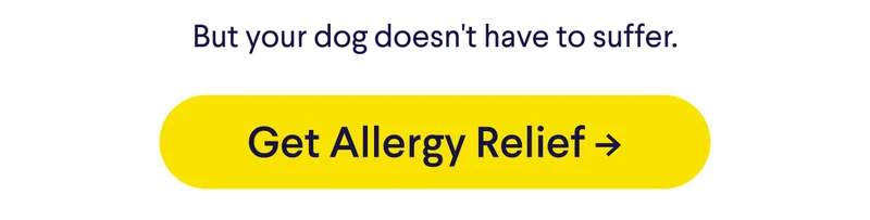 But your dog doesn't have to suffer. Get allergy relief.