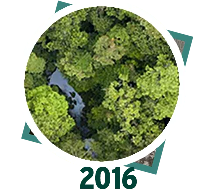 2016