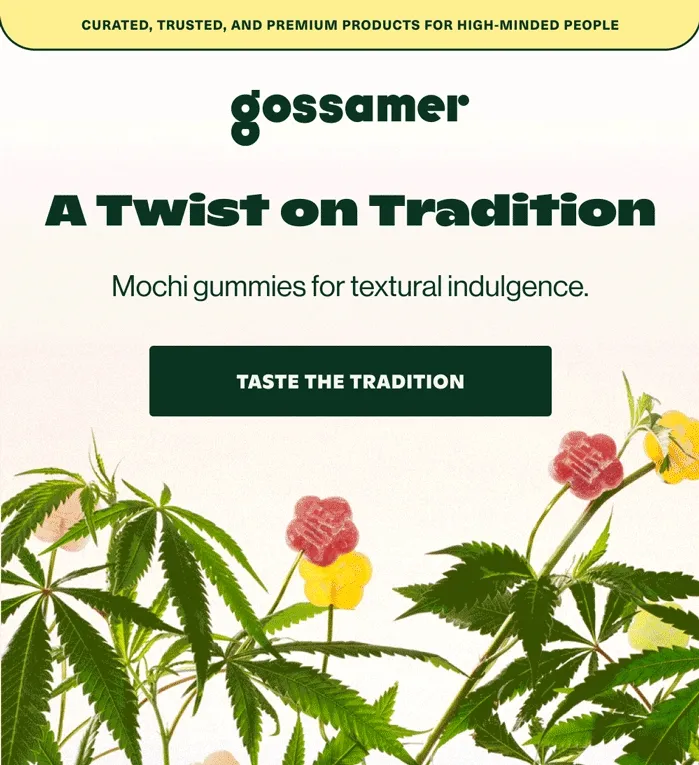 TASTE THE TRADITION