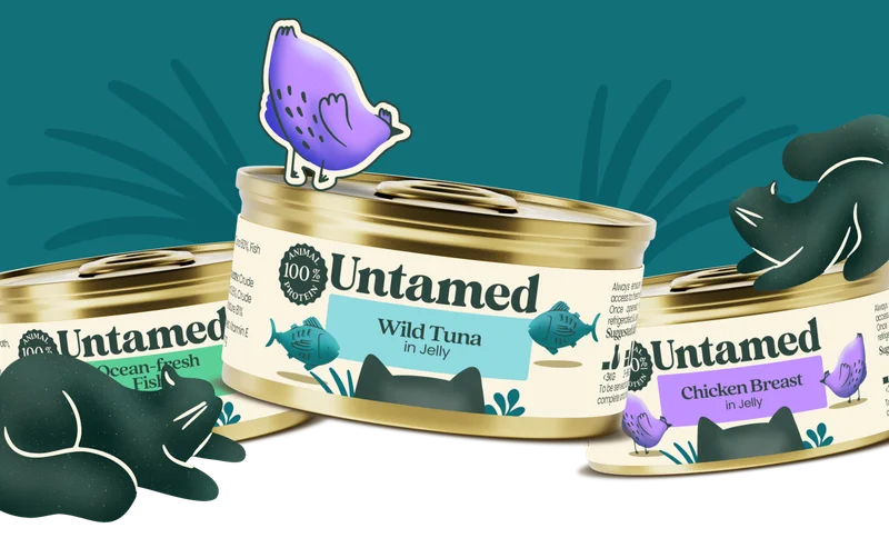 Untamed cat
