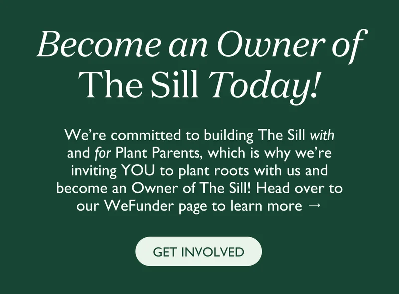 Become an Owner of The Sill Today!