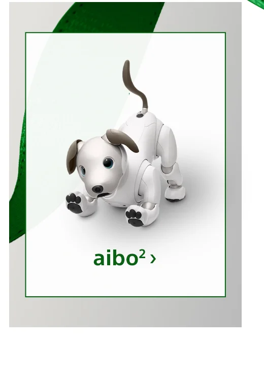 Aibo2