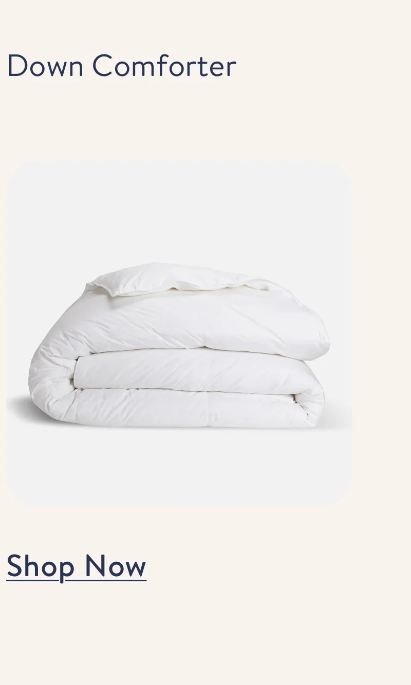 Down Comforter