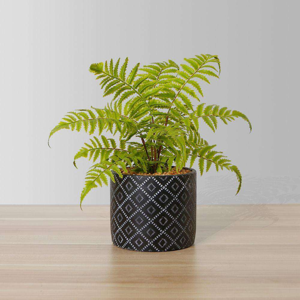 Image of Bali Potted Faux Fern