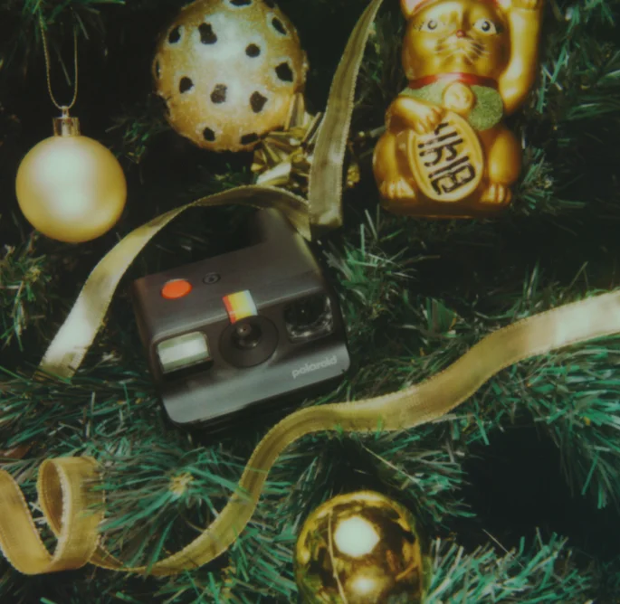 Go Camera surrounded by holiday decorations