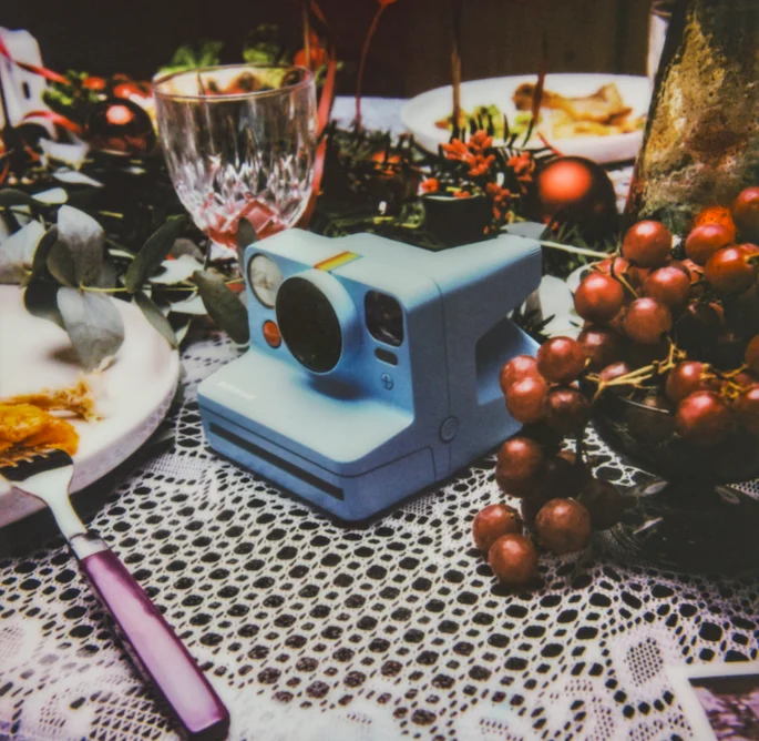 Now Camera surrounded by holiday decorations