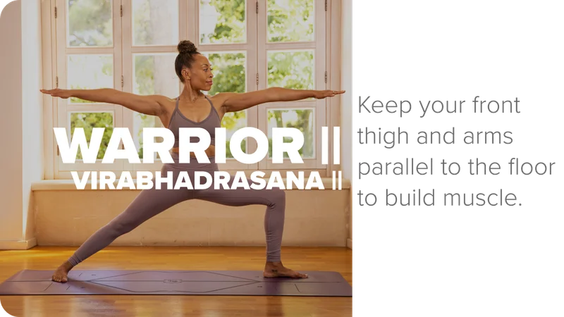 Warrior 2