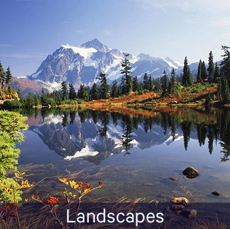 Landscapes