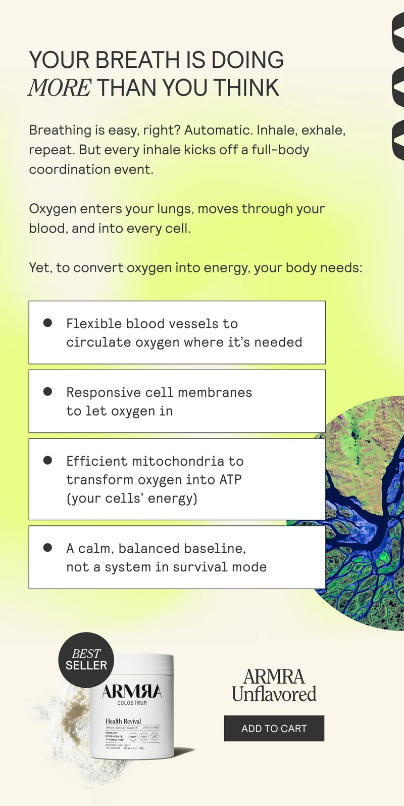YOUR BREATH IS DOING  MORE THAN YOU THINK  Breathing is easy, right? Automatic. Inhale, exhale, repeat. But every inhale kicks off a full-body coordination event.  Oxygen enters your lungs, moves through your blood, and into every cell.  Yet, to convert oxygen into energy, your body needs:
