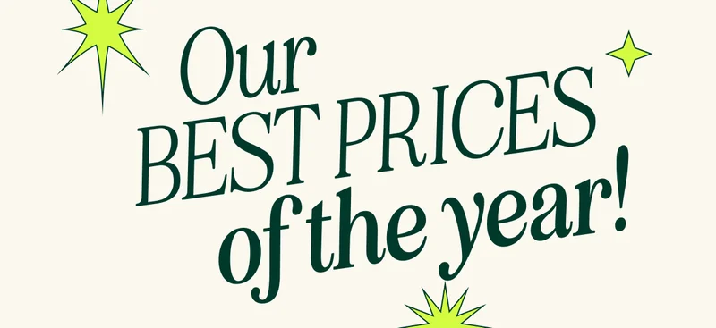 Our best PRICES OF THE YEAR